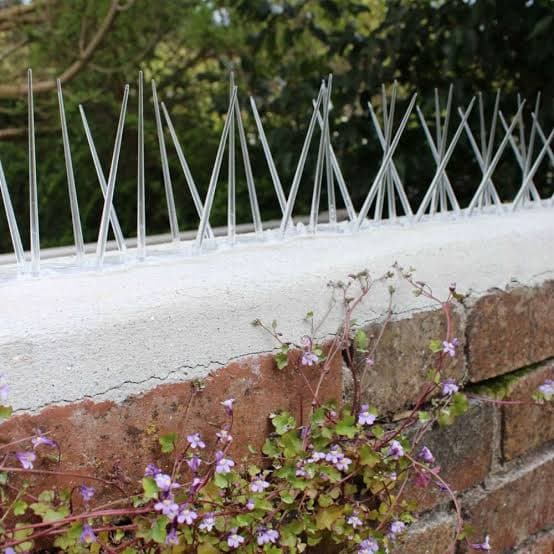 Professional bird spikes installation photo 2 in Seven Tombs