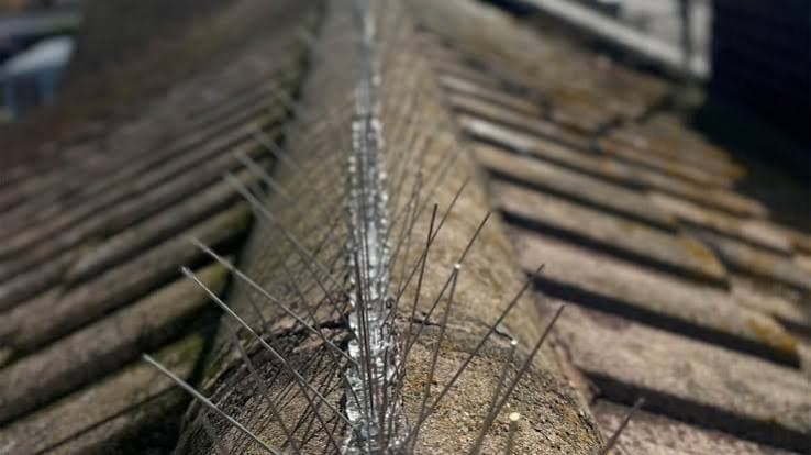 Professional bird spikes installation photo 3 in Seven Tombs