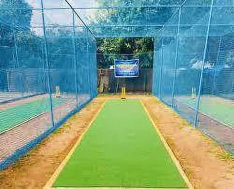 Professional cricket nets installation photo 3 in Mg Road