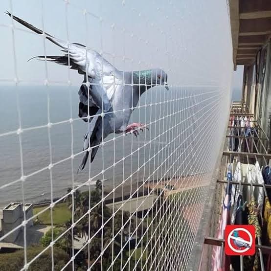 Professional pet safety nets installation photo 6 in Moosapet