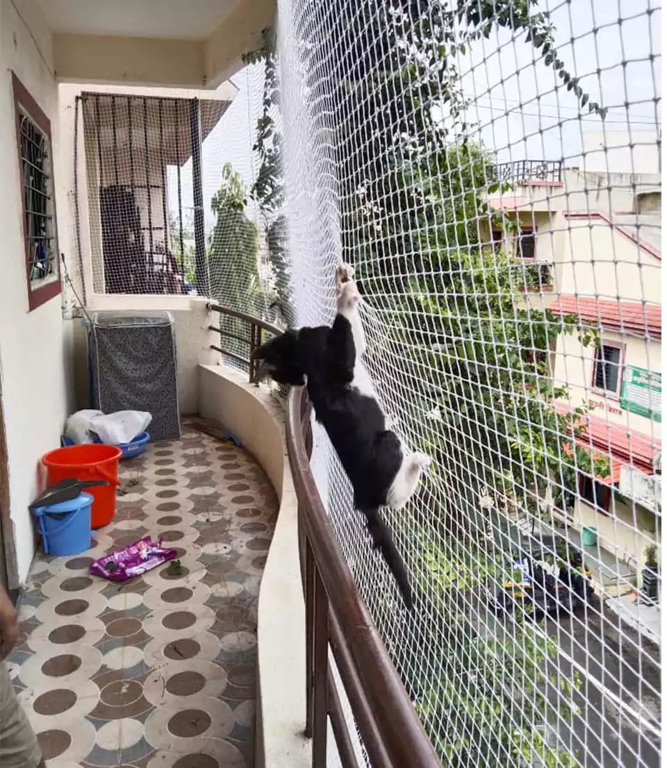 Pet Safety Nets for Villas